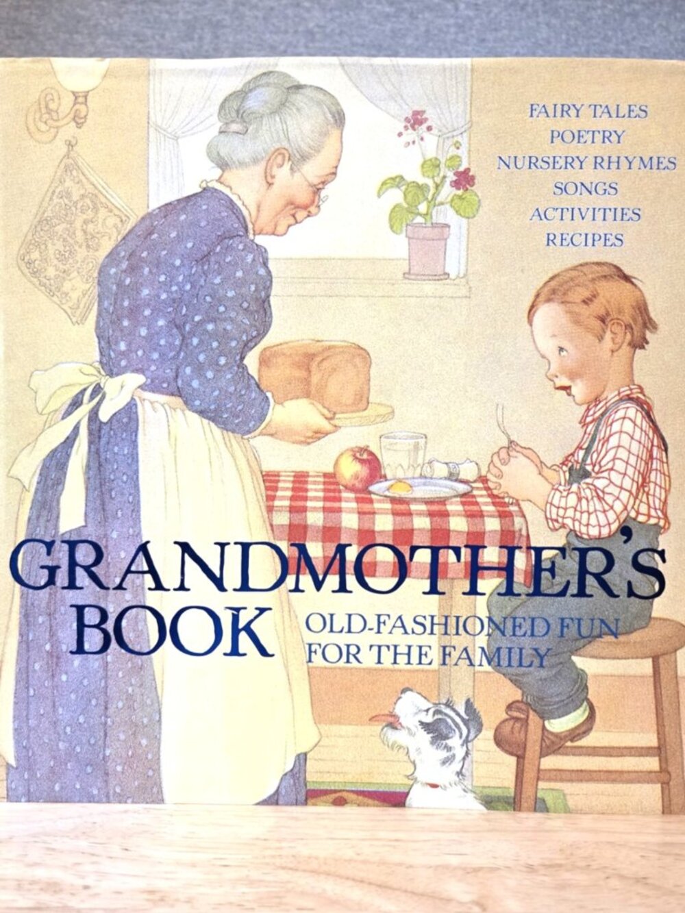Grandmother's Book Old-Fashioned Fun for the Family - Hardcover - NEW